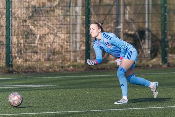 Bild 338 - F Hamburger SV 3 - Blau-Weiss 96 : Ergebnis: 5:1